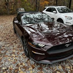 88000 Miles. Mustang Eco Boost Premium.