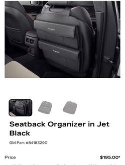 Cadillac seat back organizer