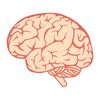 Brain