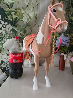 Caballo