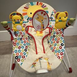Baby Bouncer