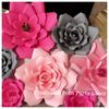 Petals and Posh Party Decor