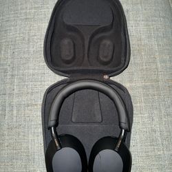 Sony Headphones