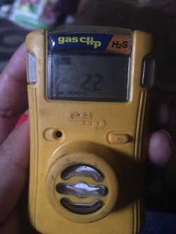 H2s monitor