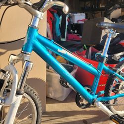 Schwinn Bike