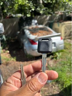 Llaves de autos / car keys and remotes