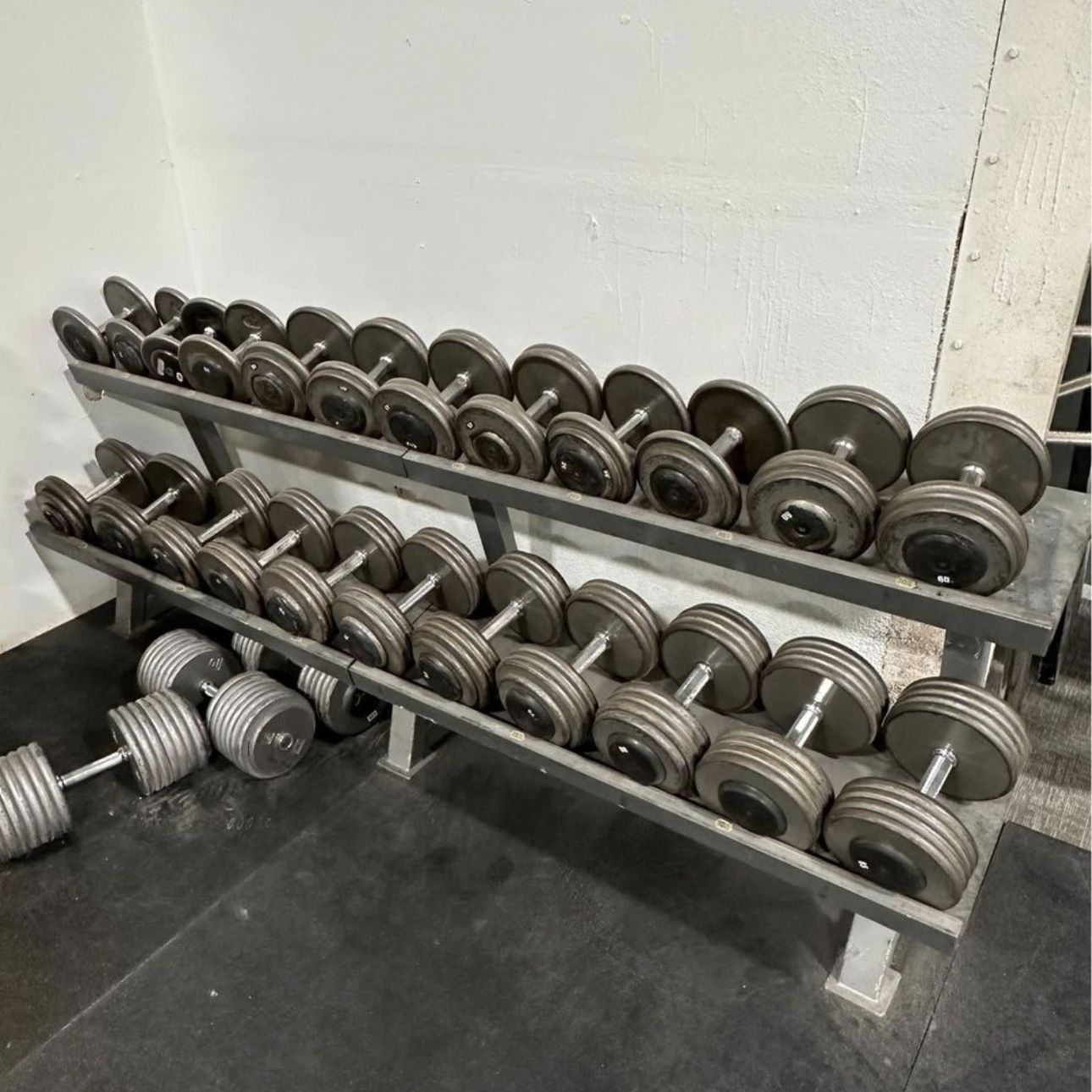 Pro Style Dumbbells With Rack for Sale in Fort Worth TX OfferUp
