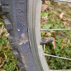 Mongoose Mountain Bike