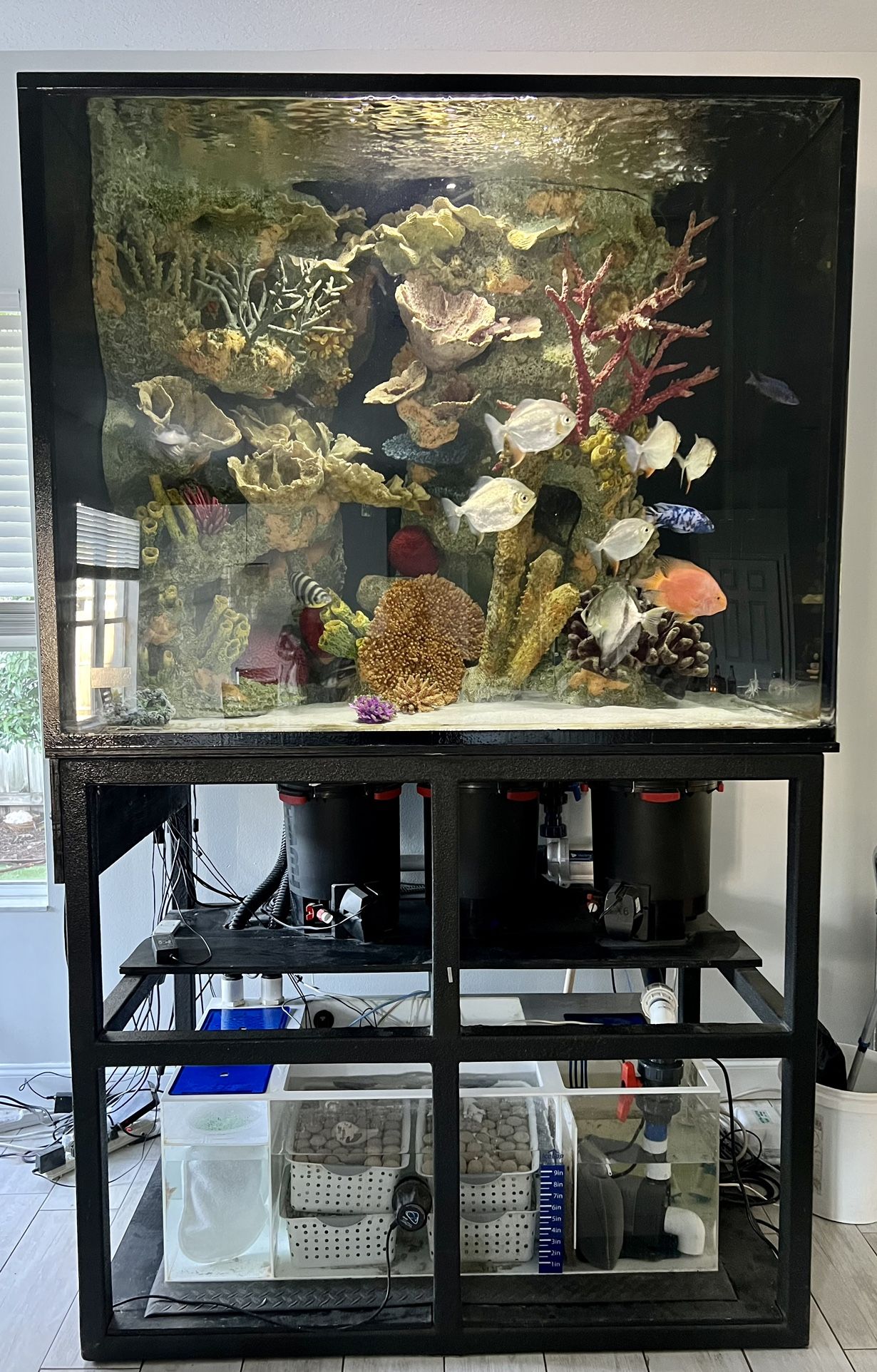 450 Gallon Fish With Stand 
