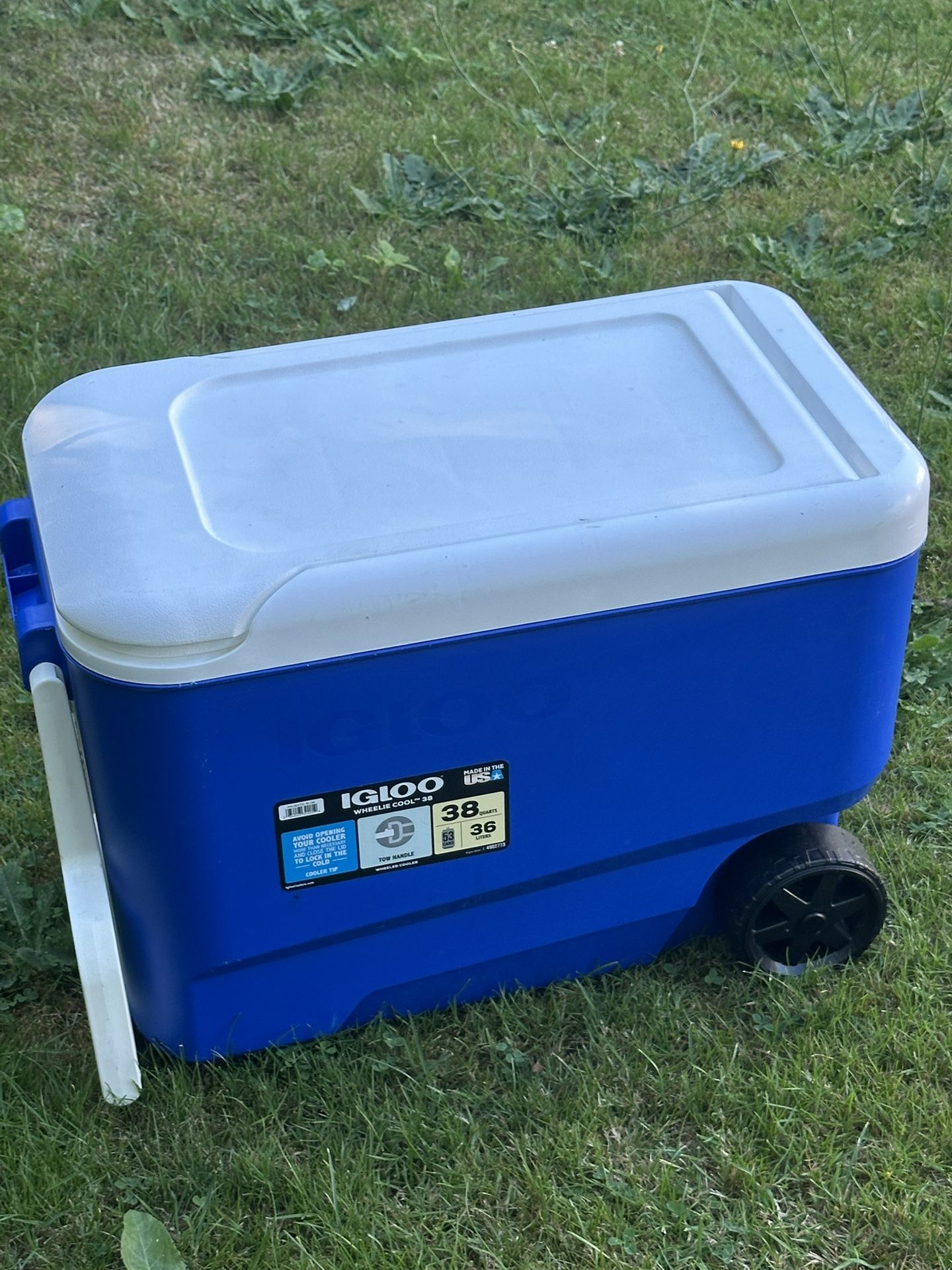 38 Qt Cooler