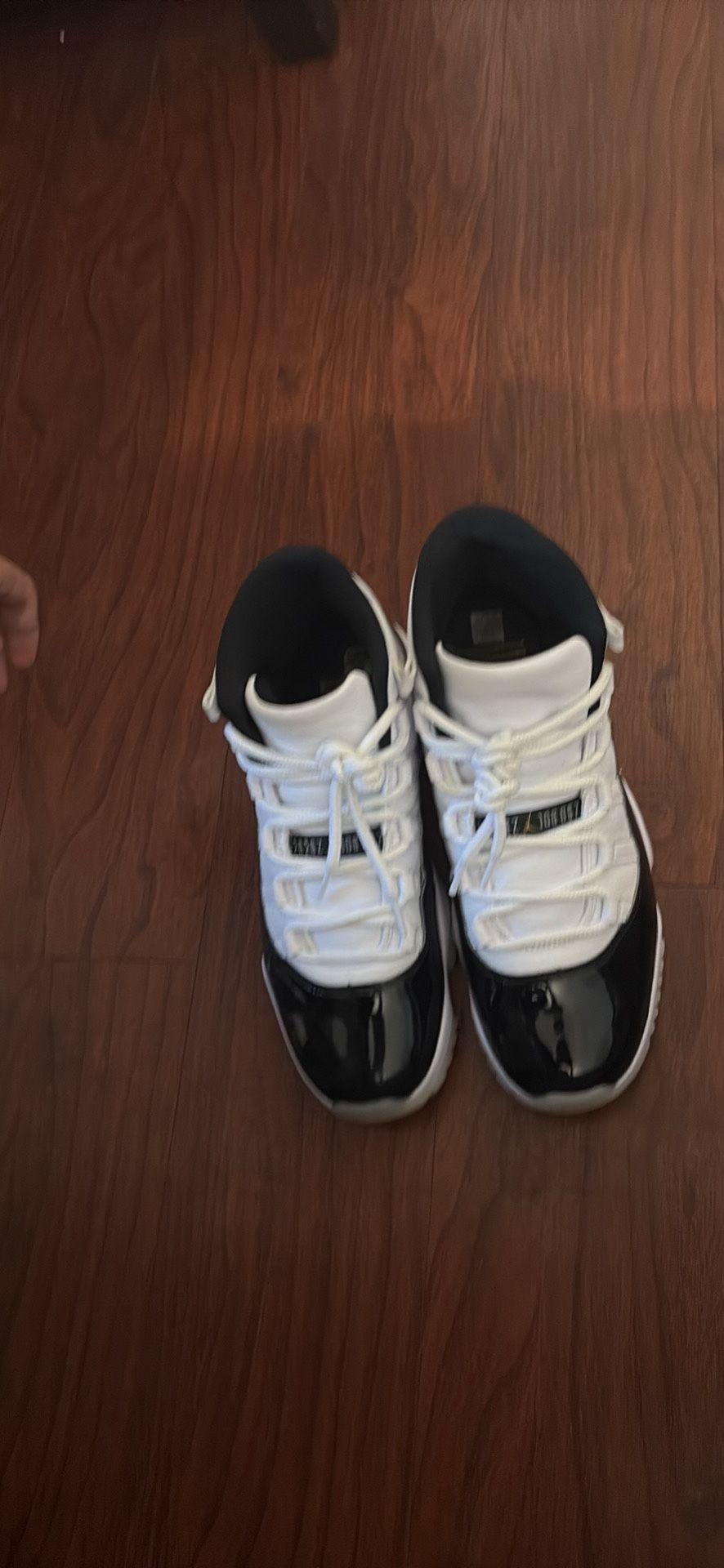 Jordan 11s Size 10 Gratitudes