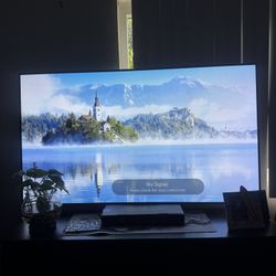 LG 65” TV
