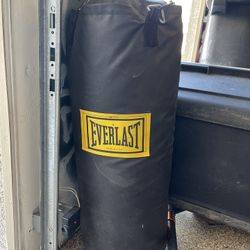 Everlast 70lbs Punching Bag