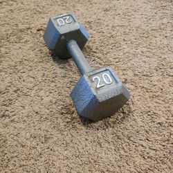 20 Lb Dumbbell