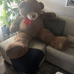 Big Teddy Bear