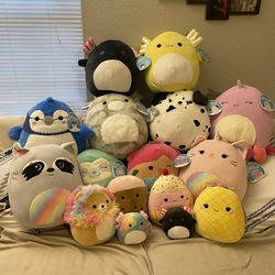 Jaelyn hotsell squishmallow bundle