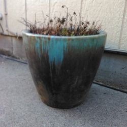 Flower Pot