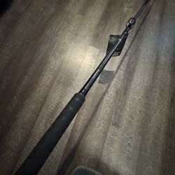 Shimano Teramar 8’ Heavy New Salt Water Fishing Rod. 