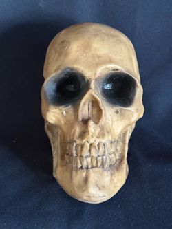 Decorative Halloween Human Skull Replica