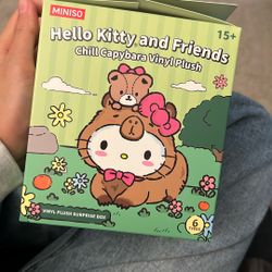 Opened Capybara Hello Kitty and Friends Blind Box