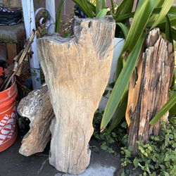 Petrified Wood Log