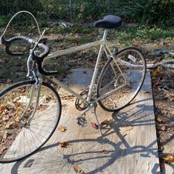 Schwann Traveller Road Bike