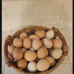 Fresh Eggs