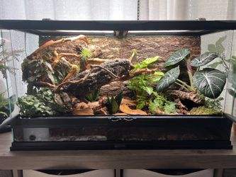 Vivarium Builds For Various Animals. Will Build For you. 