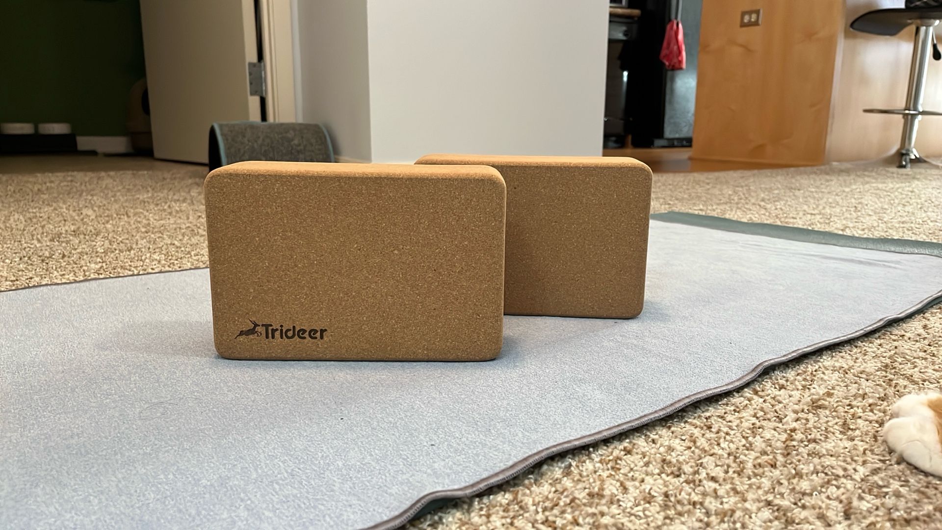 Cork Yoga Blocks, 2-pack