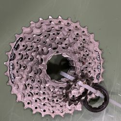 8 Speed Cassette