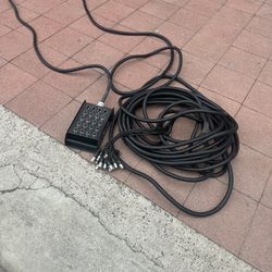 Seismic Audio Snake