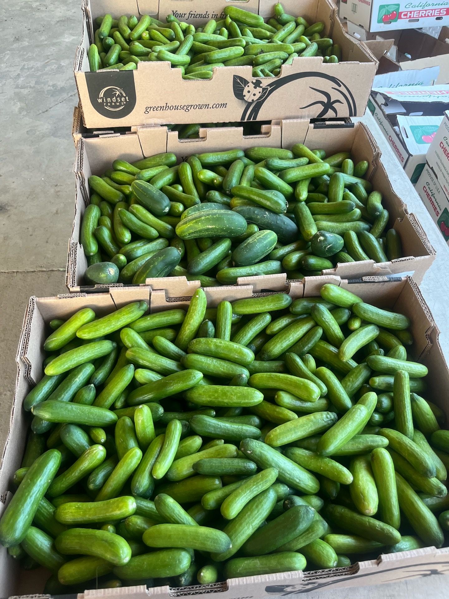 Percia cucumber ๐ฅ $20 Box only today