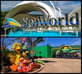 SeaWorld Ticket