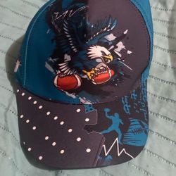 Philadelphia Eagles Hat