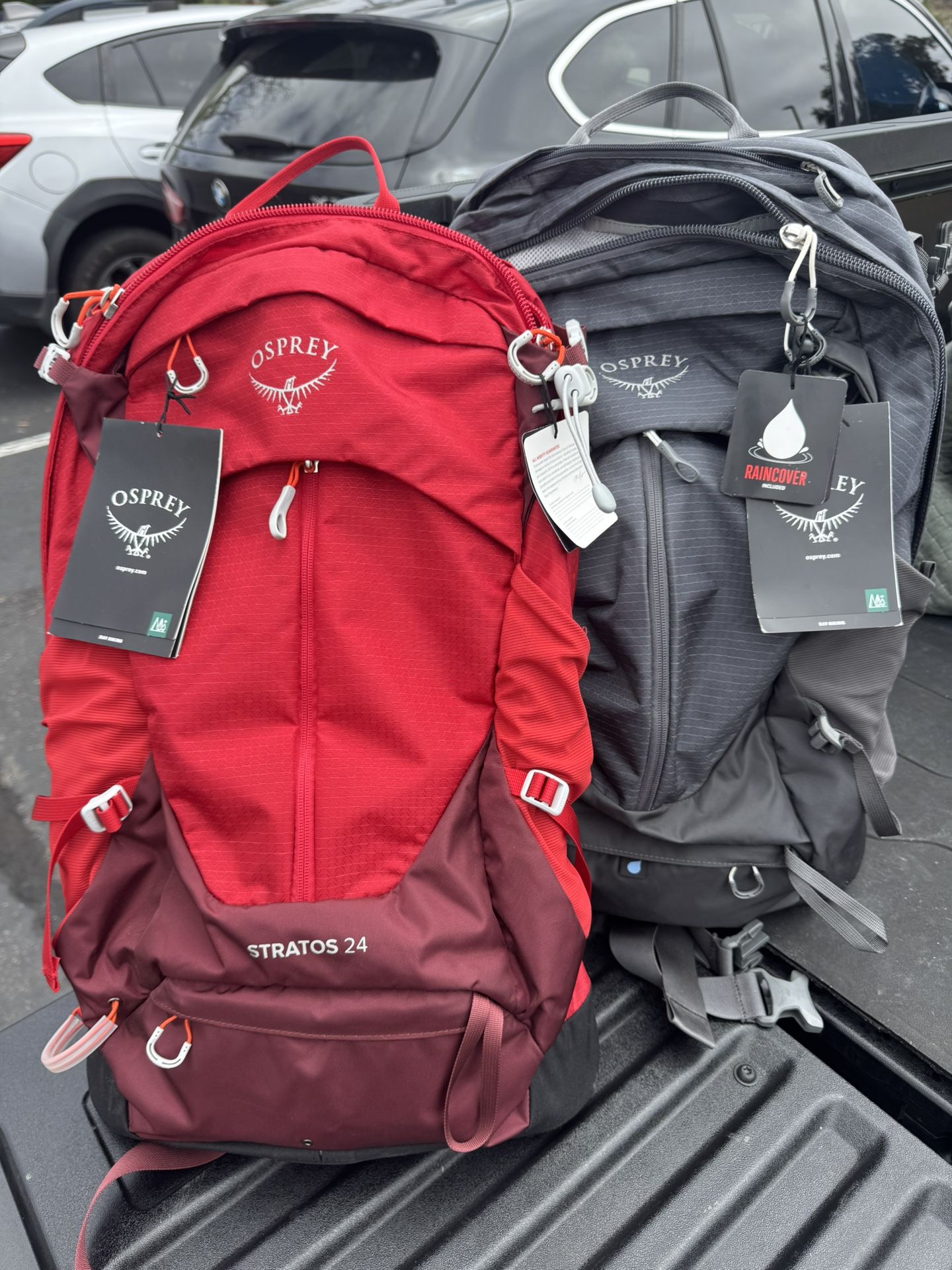 Osprey Hiking Backpack/s