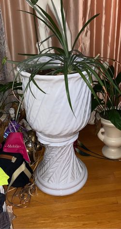 Plant stand