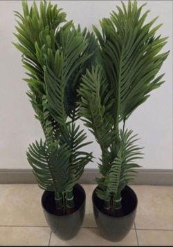 *** NEW LOW PRICE *** PAIR of 50in Faux Golden Cane Palms in 11in (Tall) Green Planters (2 for $80) @ Lasting Creations