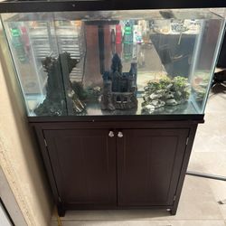 Fish Tank 