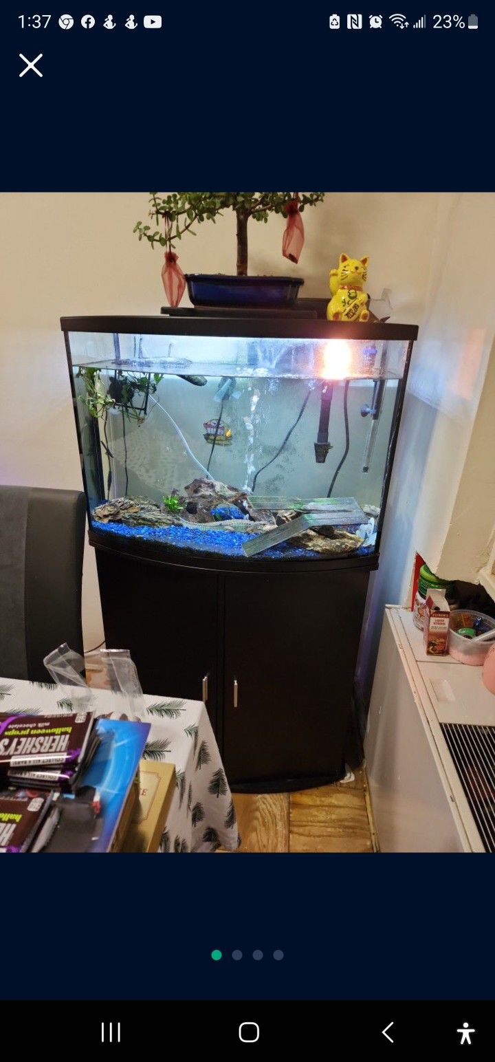 36 Gallon Tank With Everything