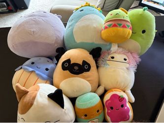 10 Assorted Squishmallows