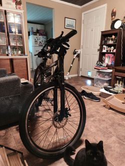 Electric bike