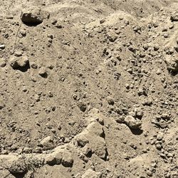 Free Dirt