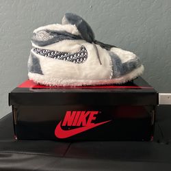 Dior Air Jordan Slippers