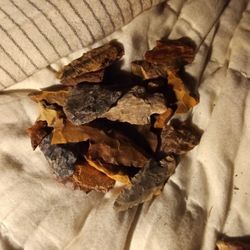 Arrow Head Collection 