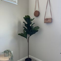 Faux Plant Fiddle Leaf Fig Tree