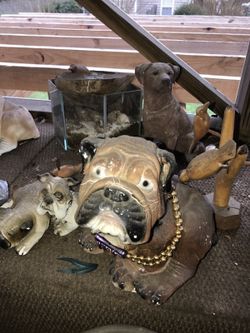 Bull Dogs statues