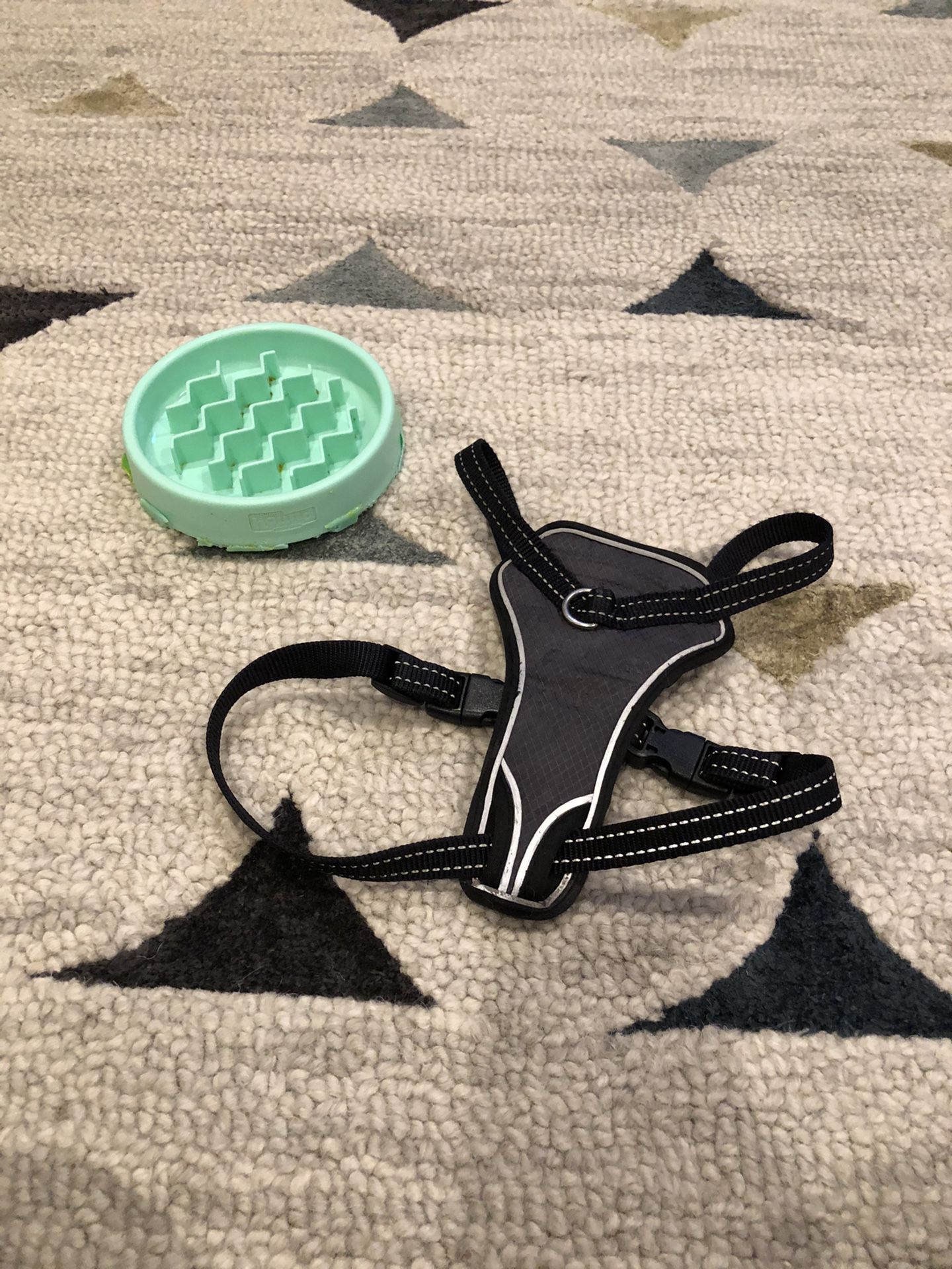 Small Dog harness and slow feed bowl