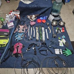 Dog Essentials Bundle