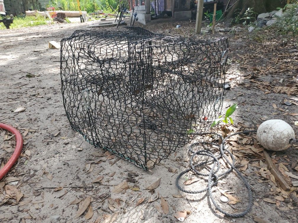 Crab Trap