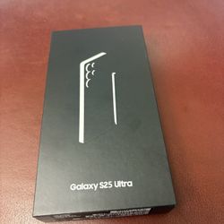 Samsung Galaxy S25 Ultra 